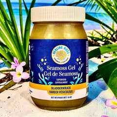 Sea Moss and Bladderwrack Gel - Unsweetened | 102 Minerals | Thyroid and Gut Support
