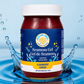 Elderberry Sea Moss Gel | Wildcrafted Sea Moss with Organic Elderberry, 16oz