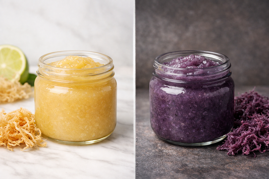 Gold sea moss gel vs regular sea moss gel comparison showing Caribbean-sourced gold gel with bright ocean background and darker purple sea moss gel with deeper underwater setting