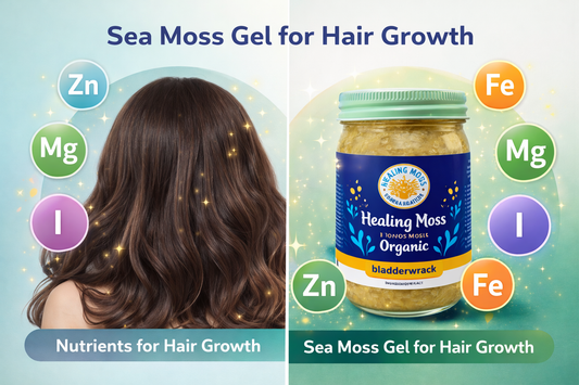 Infographic showing nutrients for hair growth like zinc, iron, magnesium and iodine alongside sea moss gel jar demonstrating sea moss gel for hair growth benefits.