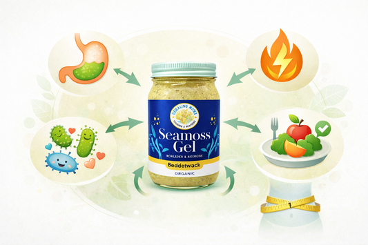 Infographic showing how Healing Moss sea moss gel supports weight management through digestion, gut health, metabolism, and appetite control.