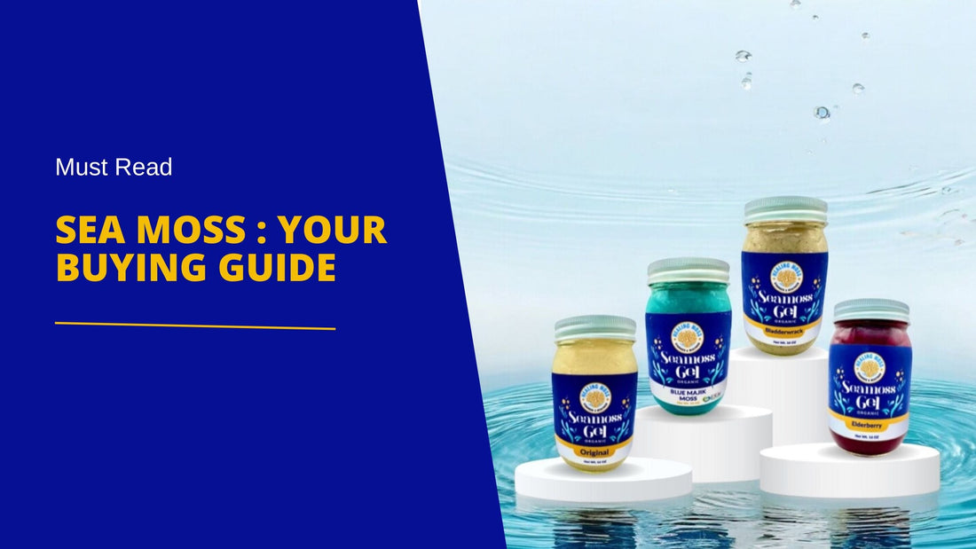 Premium Sea Moss Canada Products: Your Buying Guide