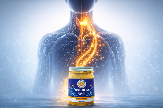Healing Moss bladderwrack sea moss gel releasing iodine particles traveling through the body to support thyroid function