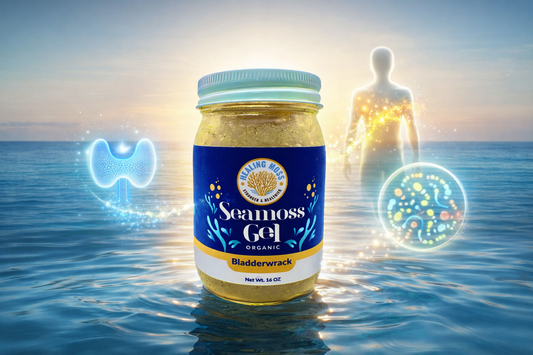 Healing Moss bladderwrack sea moss gel jar with glowing thyroid, energy, and gut microbiome elements representing iodine benefits and wellness support