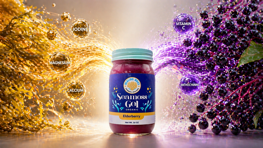 Healing Moss elderberry sea moss gel jar with glowing iodine, magnesium, calcium, and vitamin C nutrients showing natural immune booster in Canada