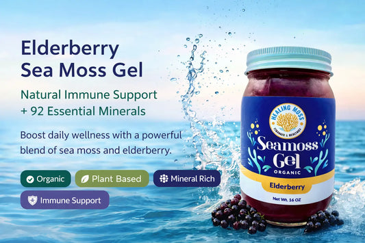 Healing Moss organic elderberry sea moss gel jar in ocean water showing natural immune support supplement rich in minerals
