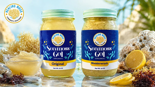 Healing Moss Original and Bladderwrack sea moss gel jars displayed in a coastal wellness scene with sea moss gel, lemon slices, and ocean-inspired background