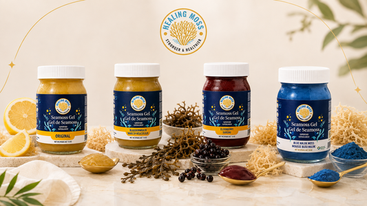 Four Healing Moss sea moss gel blends: Original, Bladderwrack, Elderberry and Blue Majik with their featured ingredients.