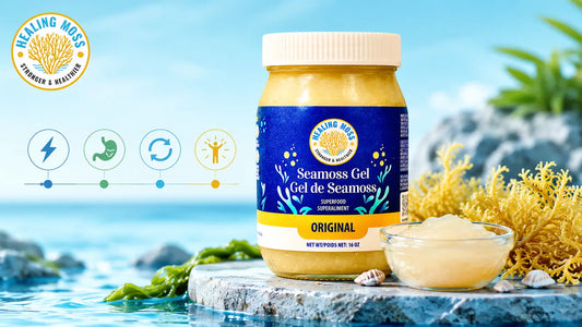 Healing Moss Original Sea Moss Gel with timeline icons for energy, digestion, consistency, and daily wellness