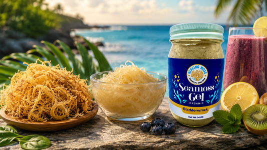 Healing Moss sea moss gel with raw sea moss, smoothie ingredients, and gut-friendly foods for a natural digestive wellness routine.