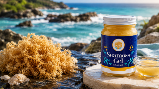 Raw sea moss beside Healing Moss sea moss gel jar showing the difference between DIY sea moss preparation and ready-to-use sea moss gel.