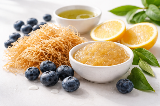 Natural sea moss with blueberries, lemon slices, and green leaves arranged on a clean white surface to represent antioxidants and superfoods.