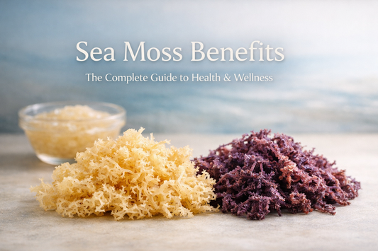 Golden and purple sea moss displayed on a clean surface with soft lighting, representing sea moss benefits for health, wellness, and nutrition