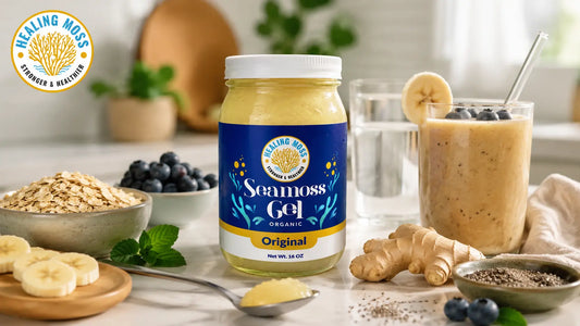 Healing Moss Original Sea Moss Gel with gut-friendly ingredients for a sea moss for gut health blog