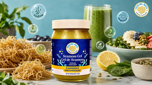 Sea moss for vegans with raw sea moss, Healing Moss gel, and iodine, iron, magnesium, zinc, and potassium nutrients