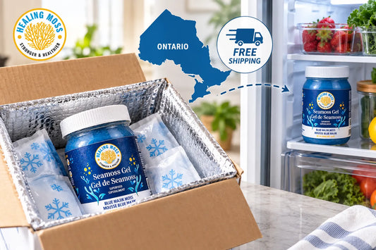 Healing Moss sea moss gel packed with insulated lining and gel packs for cold delivery across Ontario.