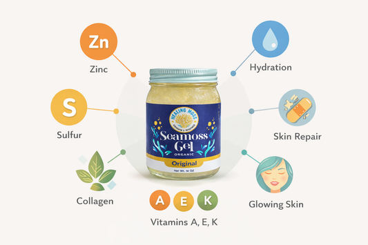 Sea moss gel skincare benefits infographic showing collagen, zinc, sulfur, hydration, vitamins A E K, skin repair and glowing skin