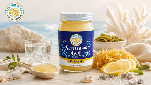 Healing Moss Original Sea Moss Gel styled in a premium wellness still life for a blog about sea moss, iodine, and thyroid health