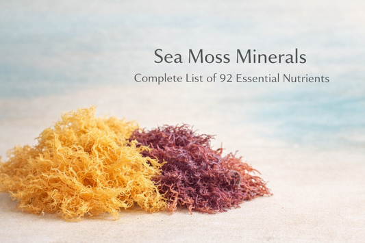 What Are the 92 Minerals in Sea Moss? Complete List