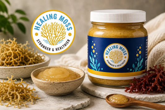 Healing Moss sea moss gel beside dried sea moss, illustrating educational guidance on sea moss and thyroid medication, levothyroxine timing, and iodine awareness.