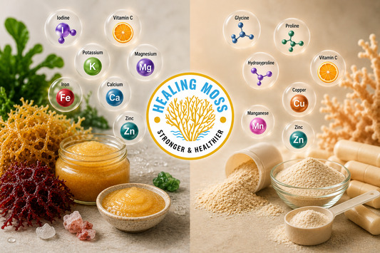 Side-by-side comparison of sea moss gel and collagen powder with the Healing Moss logo, highlighting the naturally occurring vitamins, minerals, amino acids, and nutrients that support healthy skin, hair, and joints.