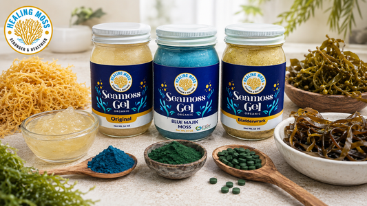 Healing Moss Bladderwrack Sea Moss Gel with raw sea moss, bladderwrack, kelp, and sea moss gel for an iodine comparison section.