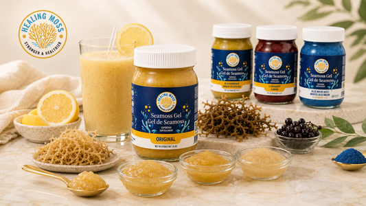 Healing Moss sea moss gel jars with raw sea moss, lemon, smoothie, and ingredient bowls showing natural flavour differences between batches.