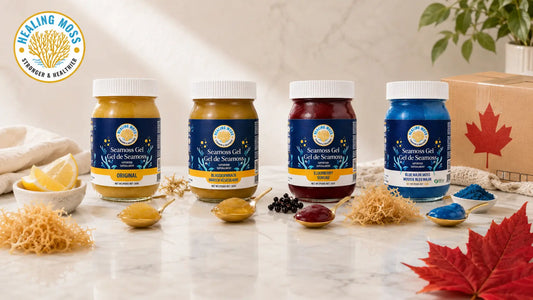 Healing Moss sea moss gel varieties including Original, Bladderwrack, Elderberry, and Blue Majik available in Canada.