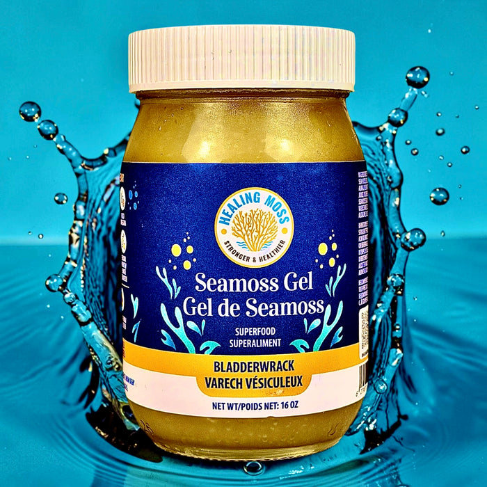 Bladderwrack Sea Moss Gel