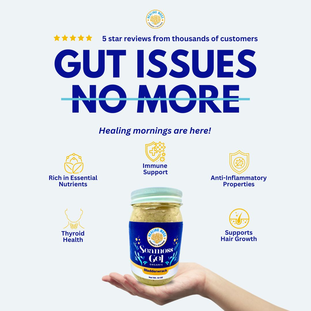 Bladderwrack Sea Moss Gel– Superfood that Supports Thyroid & Gut Health