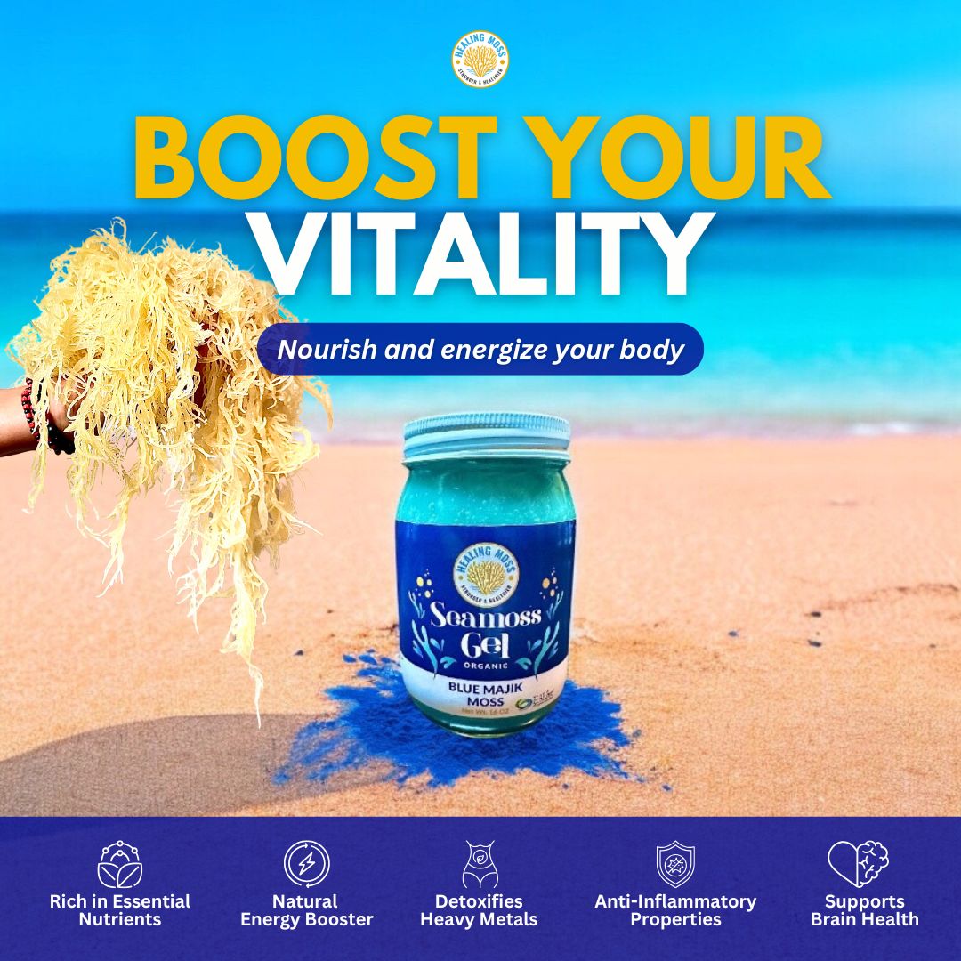 Blue Majik Sea Moss Gel – Superfood for Energy