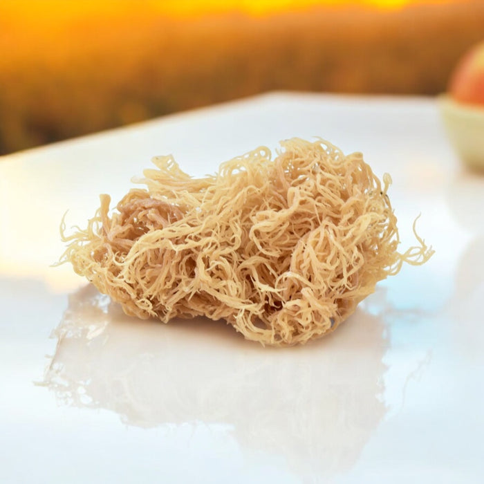 Premium wildcrafted sea moss in raw dried form, a natural mineral-rich superfood for health and wellness