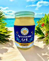 Sea Moss Gel Canada – refreshing sea moss superfood jar