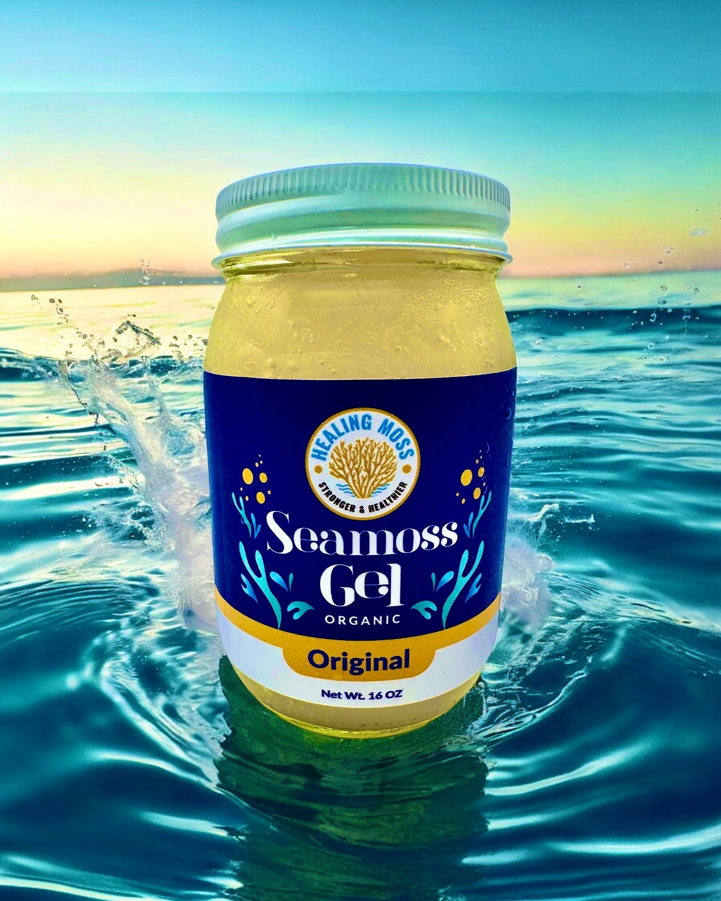 Sea Moss Gel Canada – refreshing sea moss superfood jar