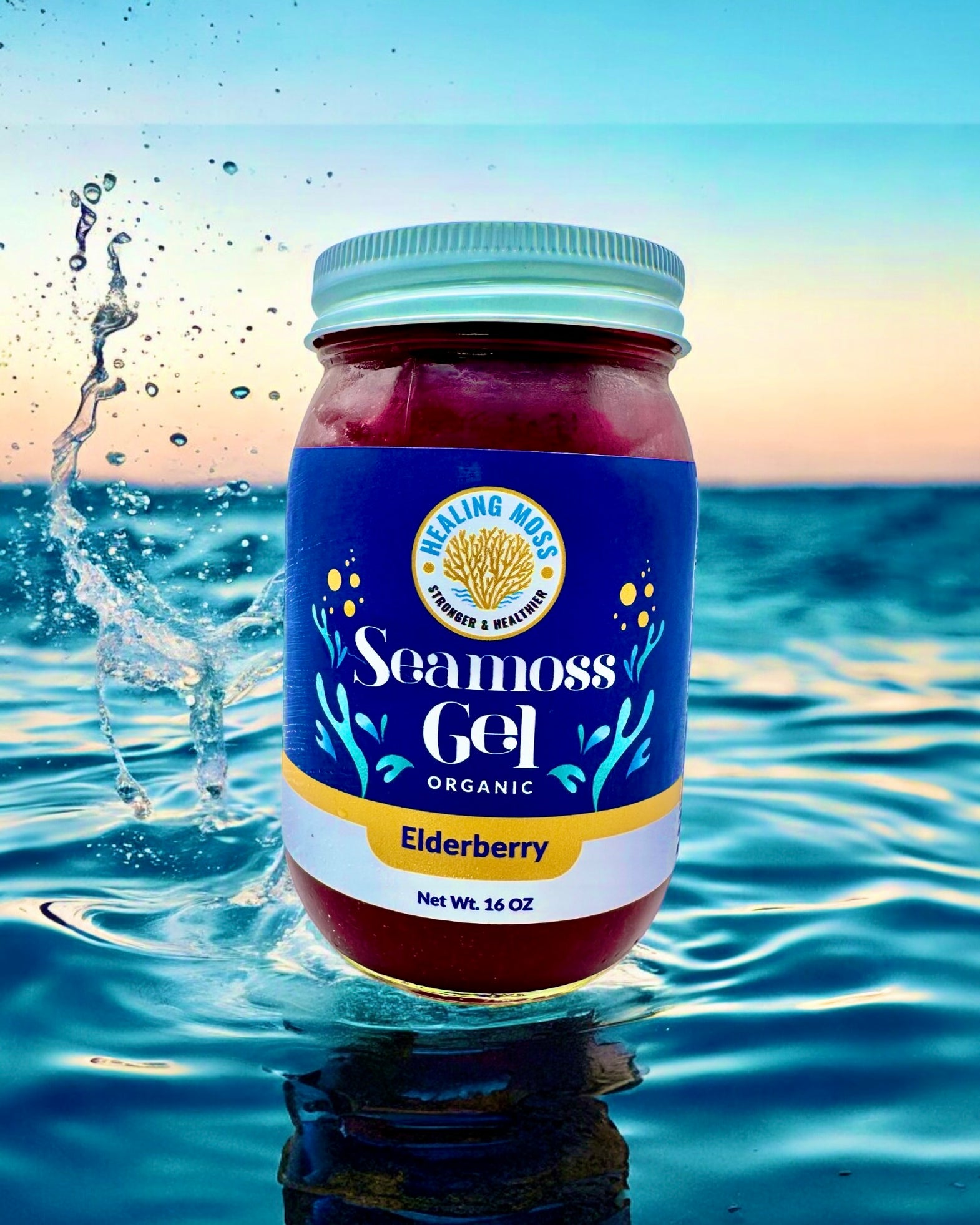 Sea Moss Elderberry Gel Canada | nutrient-rich superfood, 16 oz
