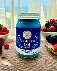 Blue Majik Moss Gel in glass jar – Canadian sea moss and blue spirulina superfood