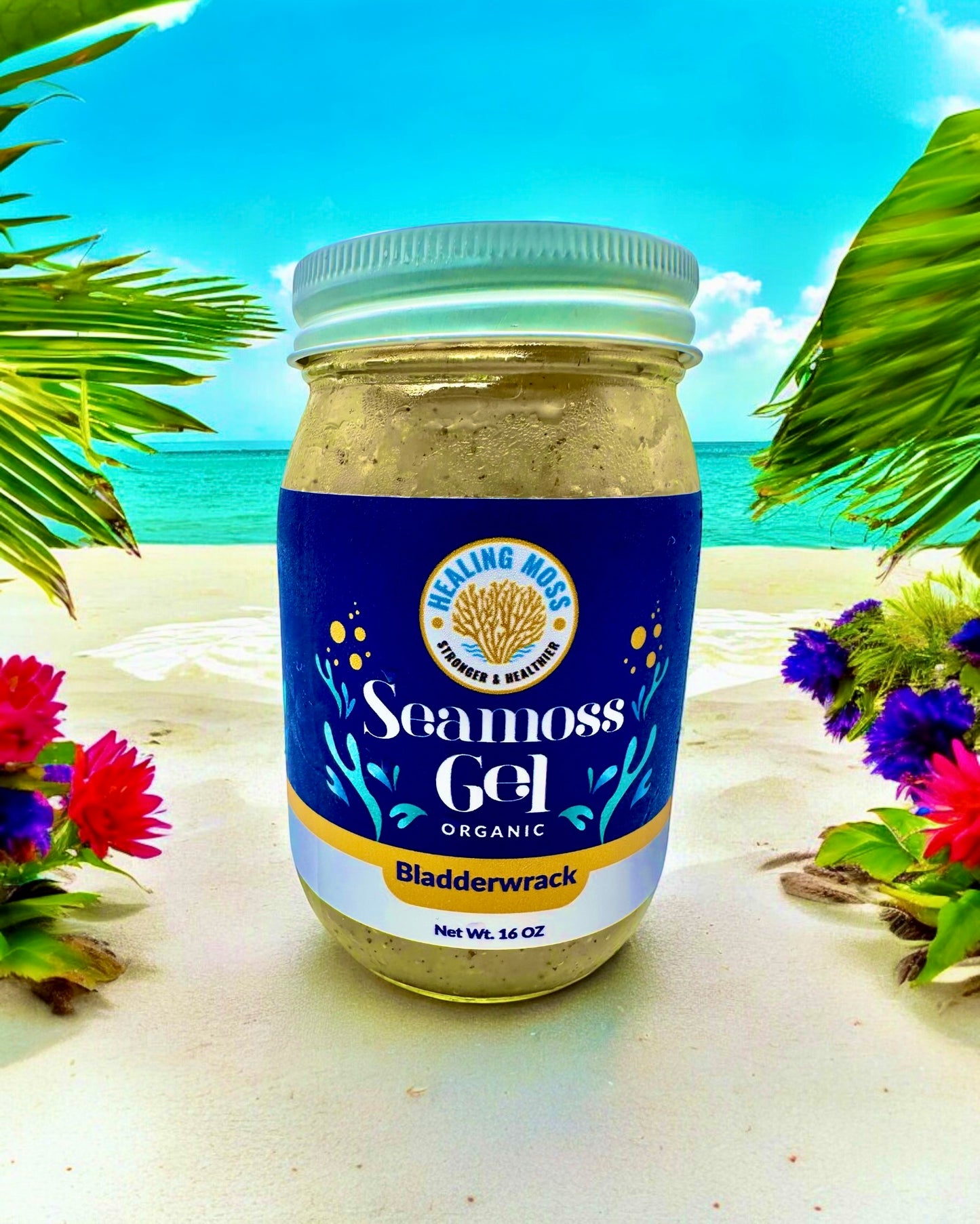 Bladderwrack Sea Moss Gel– Superfood that Supports Thyroid & Gut Health