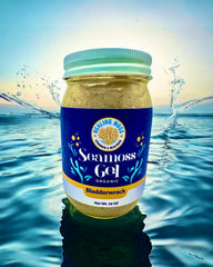 “Sea Moss Gel with Bladderwrack mineral-rich ocean superfood Canada