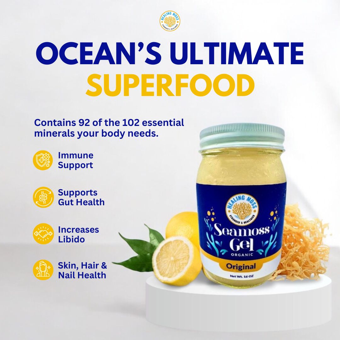 Sea Moss Gel Canada – refreshing sea moss superfood jar