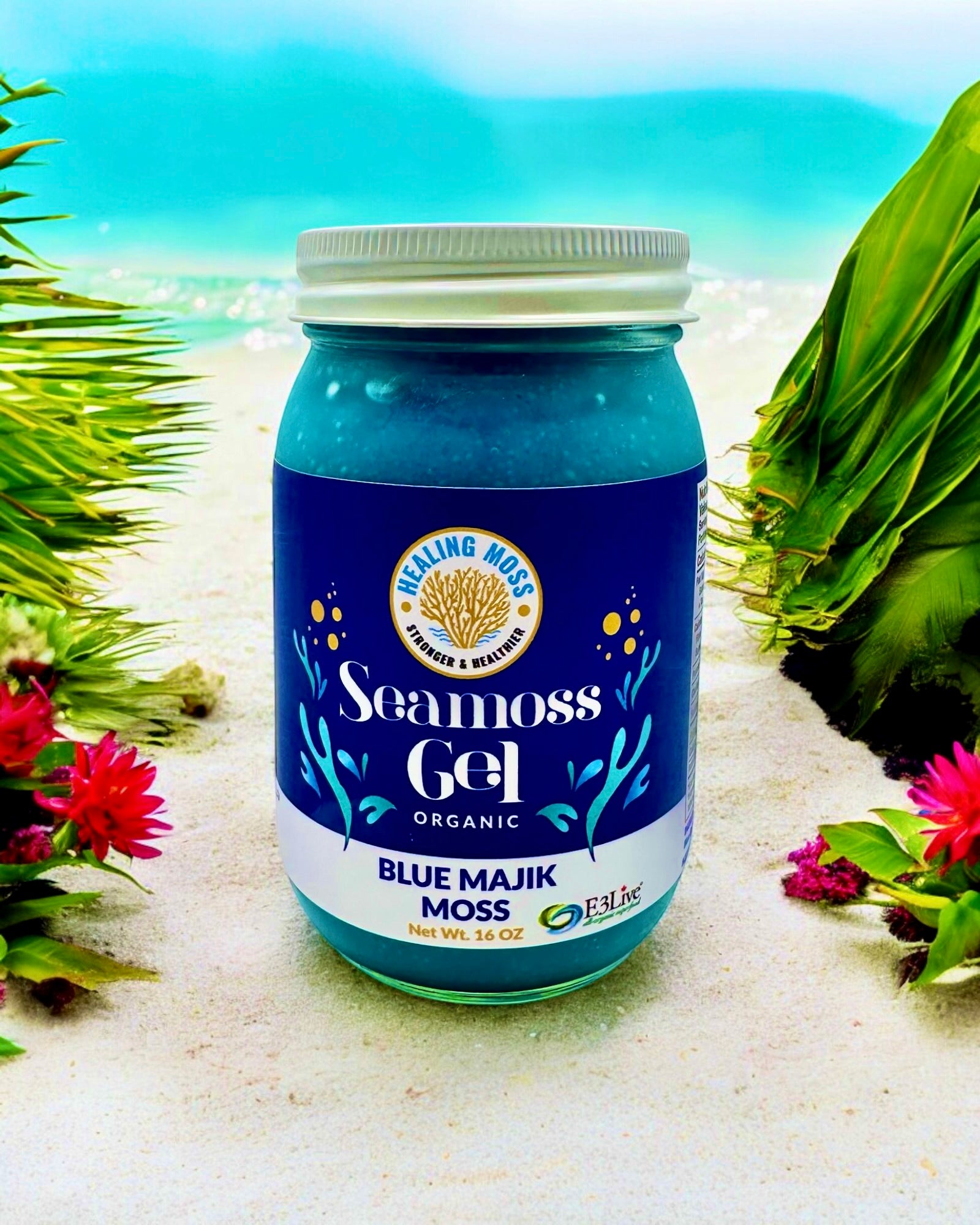 Blue Majik Moss Gel in glass jar – Canadian sea moss and blue spirulina superfood