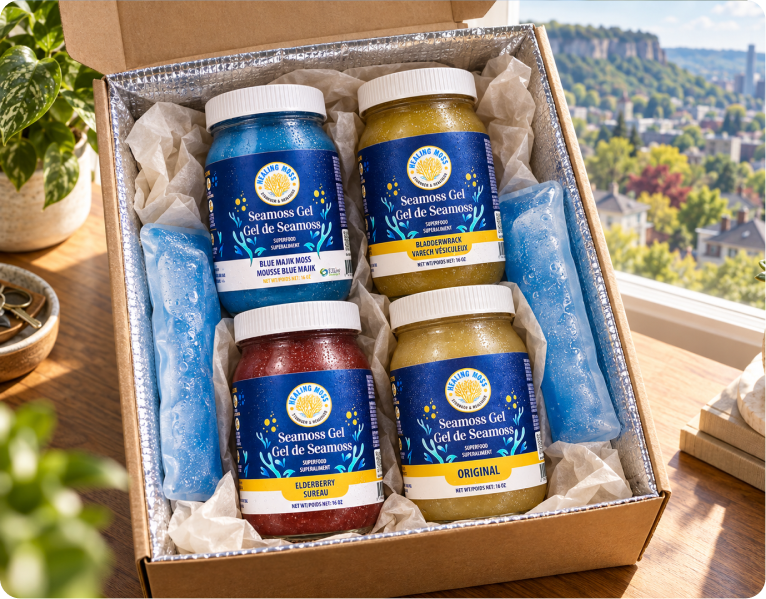 Healing Moss sea moss gel jars in a gift box